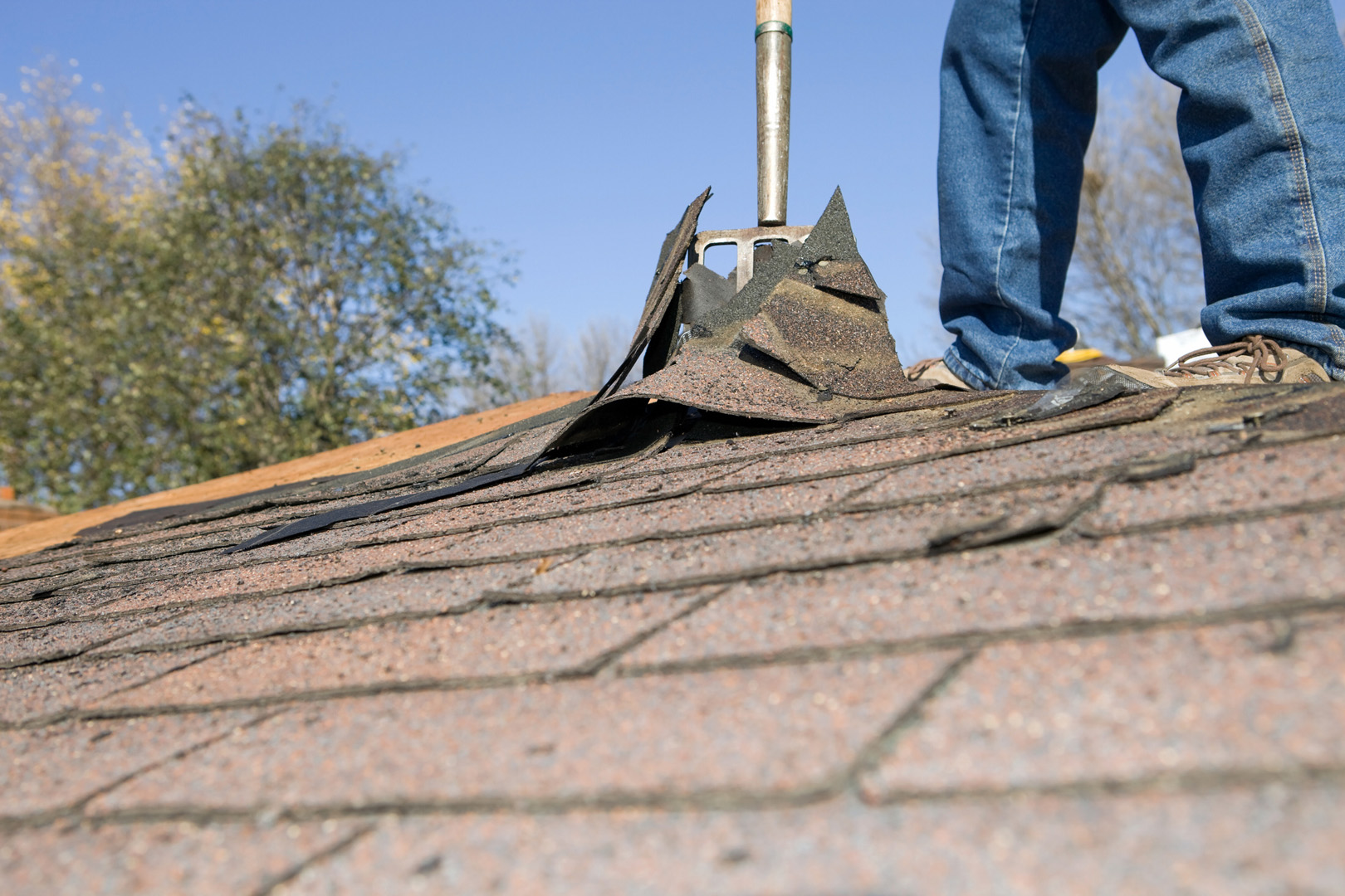 dalco roofing repair replacements 7