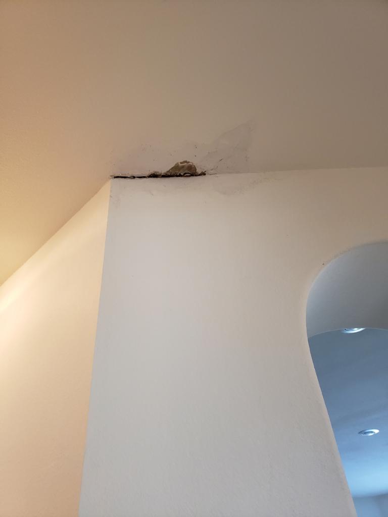 IMG 1623